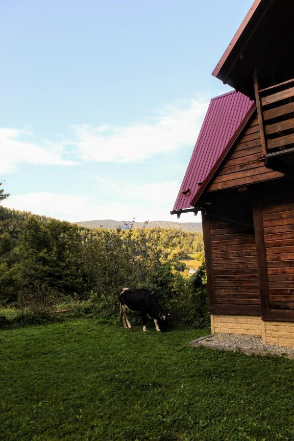 Cottage "Karpatske Shale" Jaremče Exteriér fotografie