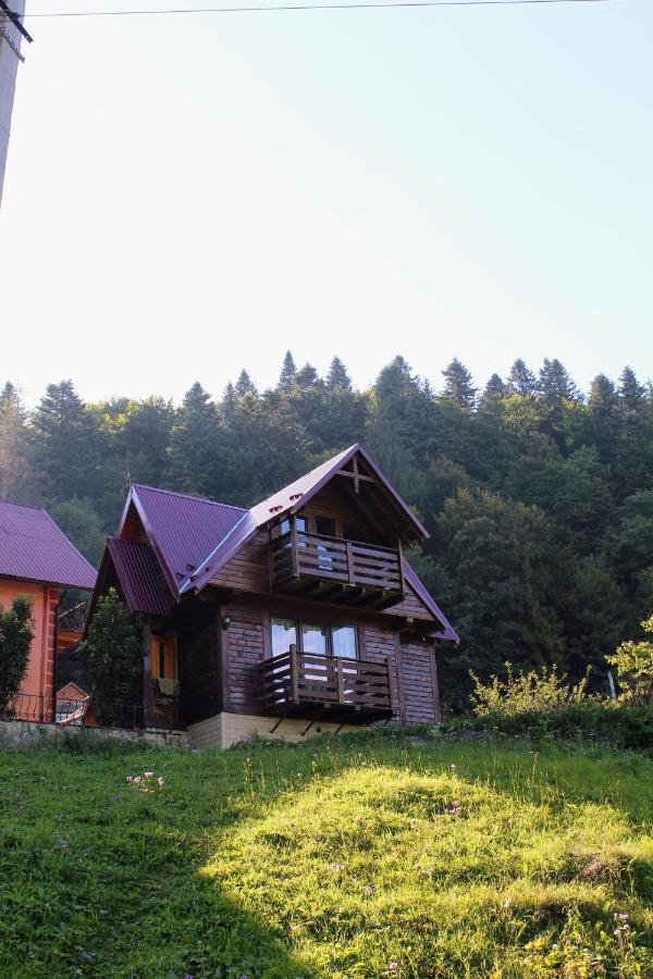 Cottage "Karpatske Shale" Jaremče Exteriér fotografie