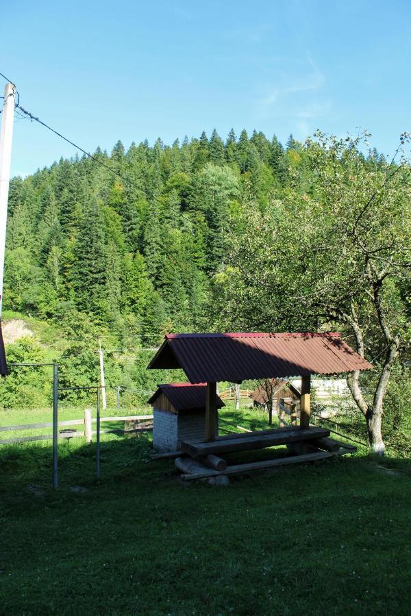 Cottage "Karpatske Shale" Jaremče Exteriér fotografie