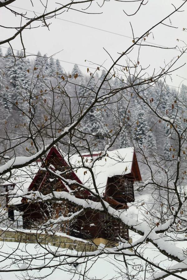 Cottage "Karpatske Shale" Jaremče Exteriér fotografie