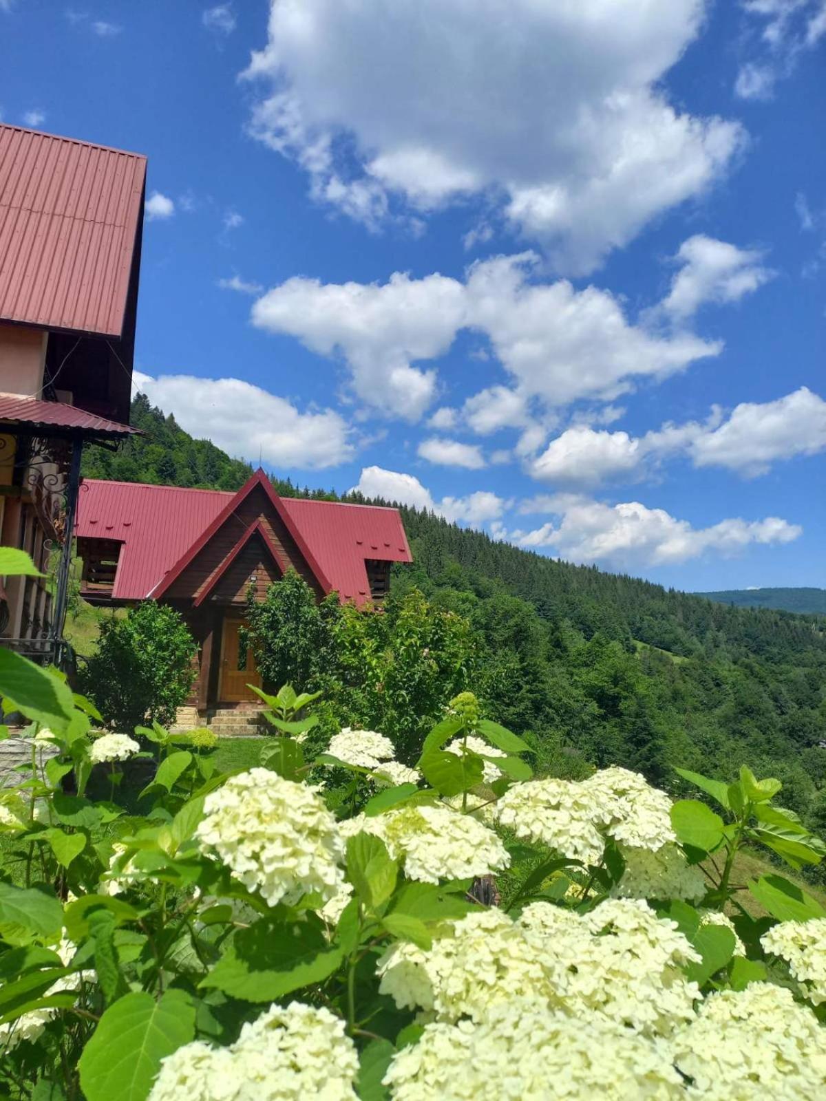 Cottage "Karpatske Shale" Jaremče Exteriér fotografie