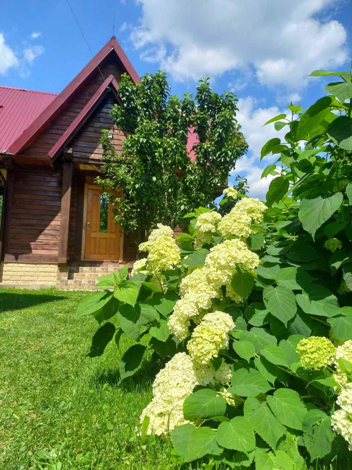 Cottage "Karpatske Shale" Jaremče Exteriér fotografie